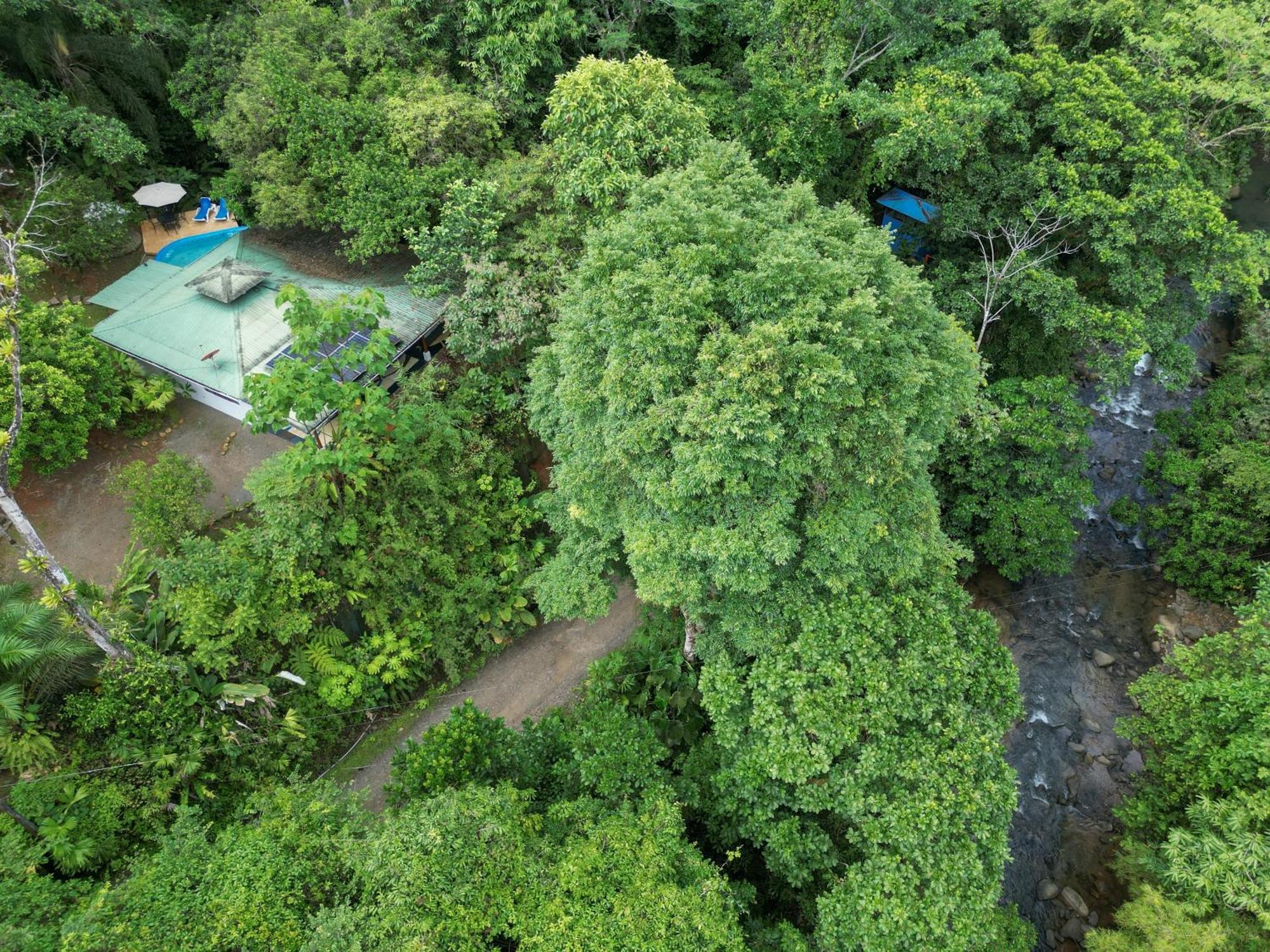 Casa Cedro - Portasol Vacation Rentals Matapalo  Ngoại thất bức ảnh